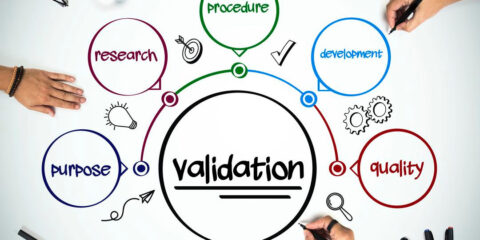 Validation Insights for an Off-the-Shelf Quality Management System